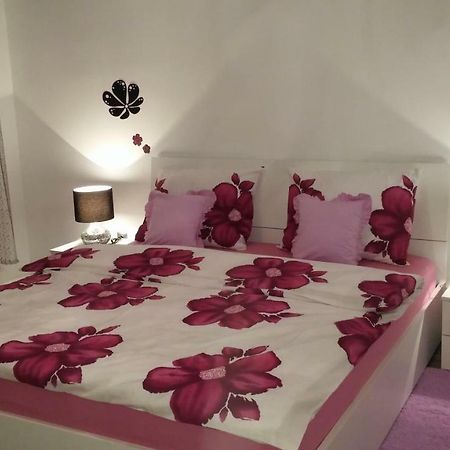 Apartment Doni 里耶卡 外观 照片